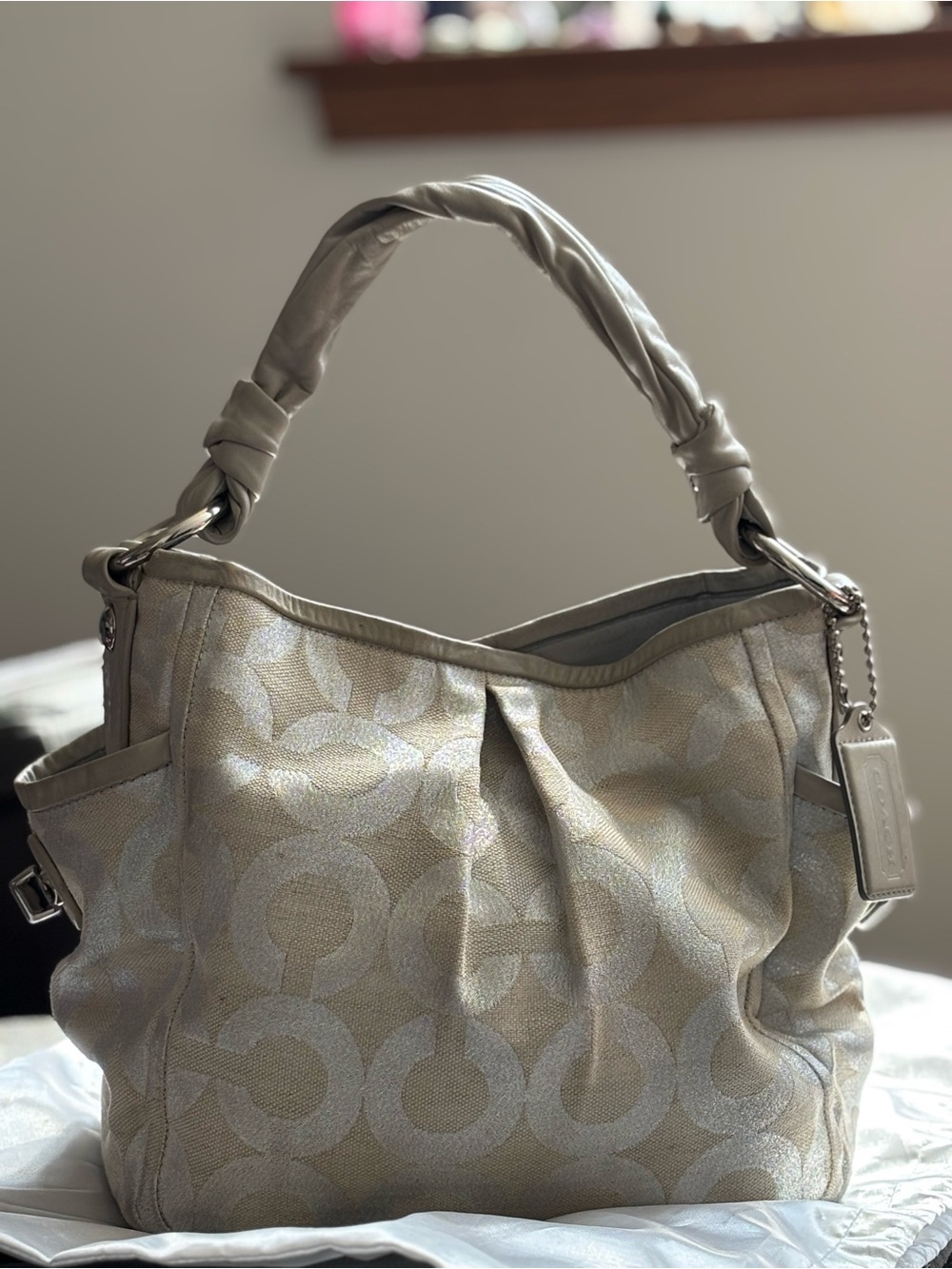 Coach Parker Metallic Silver Shoulder Bag! HTF Limited Edition!